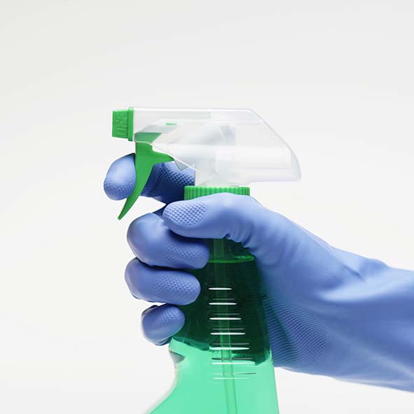 ניקיון לפסח